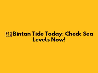 🌊 Bintan Tide Today: Check Sea Levels Now!
