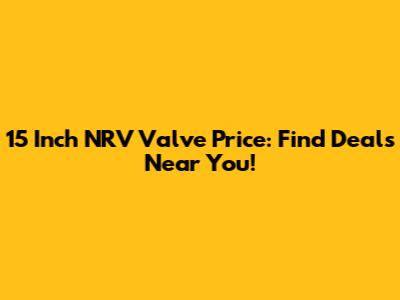 15 Inch NRV Valve Price: Find Deals Near You!