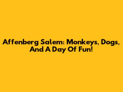 Affenberg Salem: Monkeys, Dogs, And A Day Of Fun!
