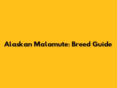 Alaskan Malamute: Breed Guide