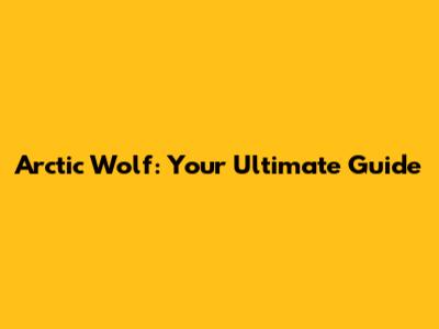 Arctic Wolf: Your Ultimate Guide