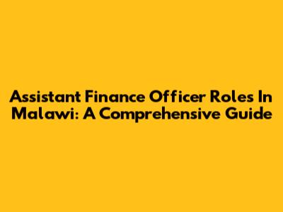 Assistant Finance Officer Roles In Malawi: A Comprehensive Guide