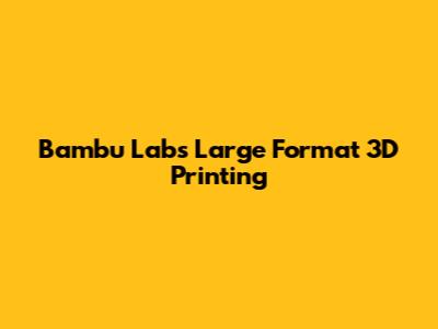 Bambu Lab's Large Format 3D Printing