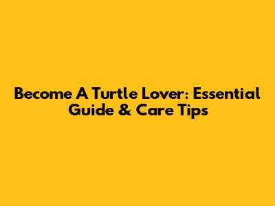 Become A Turtle Lover: Essential Guide & Care Tips
