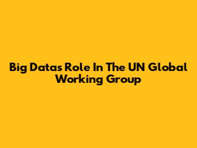 Big Data's Role In The UN Global Working Group