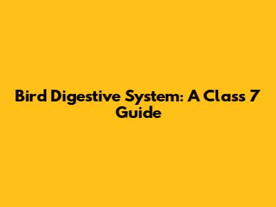 Bird Digestive System: A Class 7 Guide
