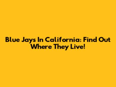 Blue Jays In California: Find Out Where They Live!