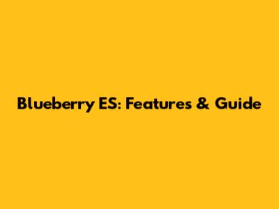 Blueberry ES: Features & Guide