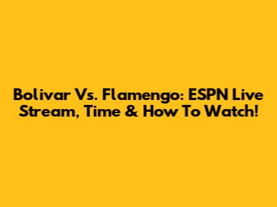 Bolivar Vs. Flamengo: ESPN Live Stream, Time & How To Watch!