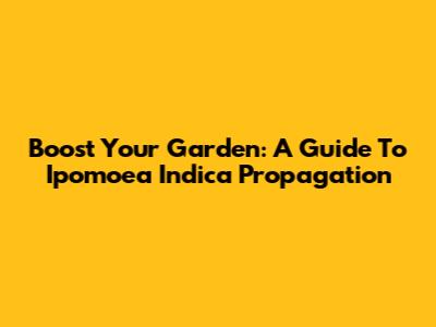 Boost Your Garden: A Guide To Ipomoea Indica Propagation