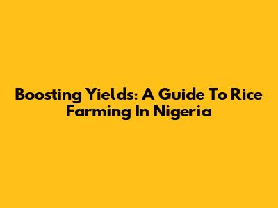 Boosting Yields: A Guide To Rice Farming In Nigeria