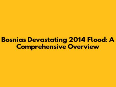 Bosnia's Devastating 2014 Flood: A Comprehensive Overview