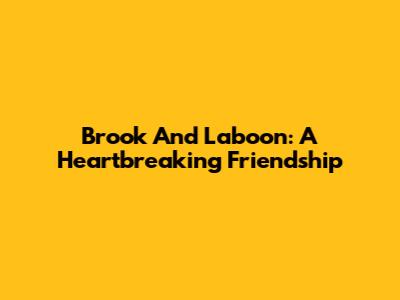 Brook And Laboon: A Heartbreaking Friendship