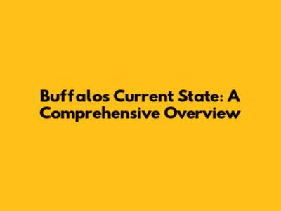 Buffalo's Current State: A Comprehensive Overview