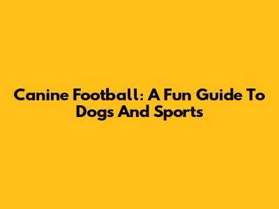 Canine Football: A Fun Guide To Dogs And Sports