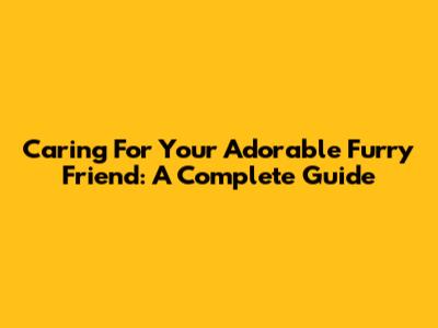 Caring For Your Adorable Furry Friend: A Complete Guide