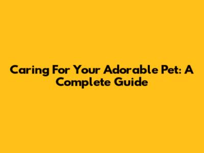 Caring For Your Adorable Pet: A Complete Guide