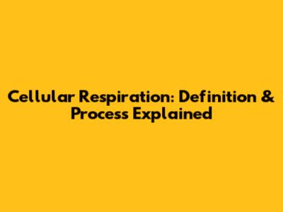 Cellular Respiration: Definition & Process Explained