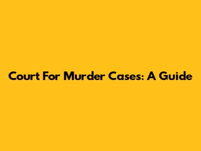 Court For Murder Cases: A Guide