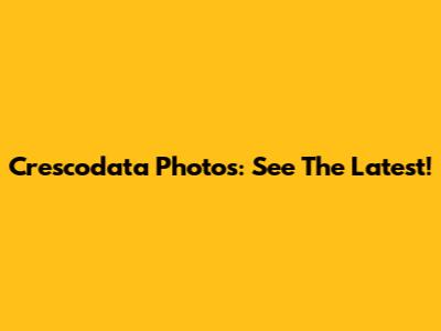 Crescodata Photos: See The Latest!