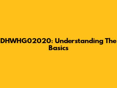 DHWHG02020: Understanding The Basics