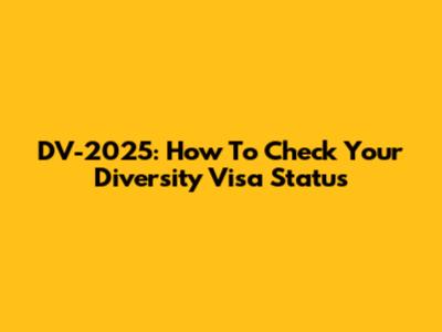 DV-2025: How To Check Your Diversity Visa Status