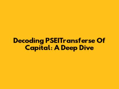 Decoding PSEITransferse Of Capital: A Deep Dive