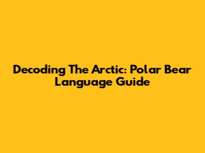 Decoding The Arctic: Polar Bear Language Guide