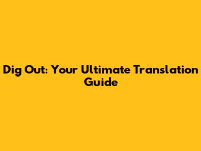 Dig Out: Your Ultimate Translation Guide