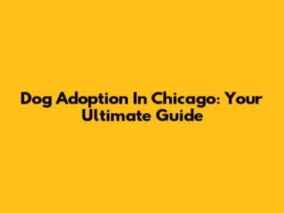 Dog Adoption In Chicago: Your Ultimate Guide