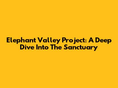 Elephant Valley Project: A Deep Dive Into The Sanctuary