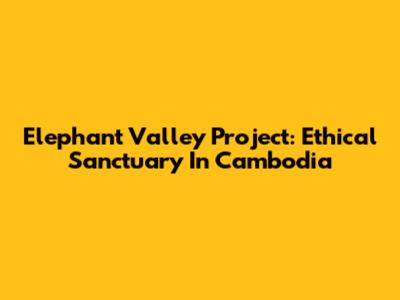 Elephant Valley Project: Ethical Sanctuary In Cambodia