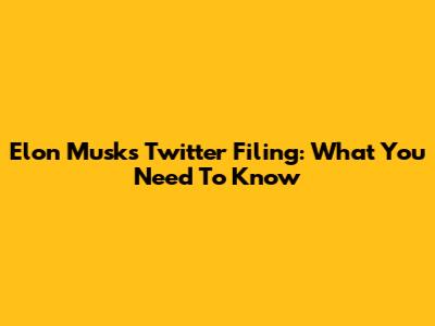 Elon Musk's Twitter Filing: What You Need To Know