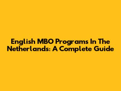 English MBO Programs In The Netherlands: A Complete Guide