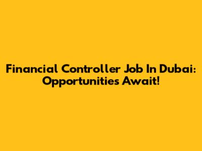 Financial Controller Job In Dubai: Opportunities Await!
