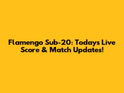 Flamengo Sub-20: Today's Live Score & Match Updates!