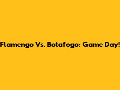 Flamengo Vs. Botafogo: Game Day!