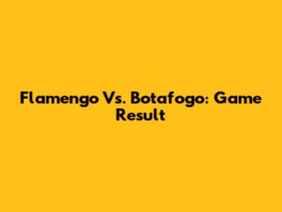 Flamengo Vs. Botafogo: Game Result
