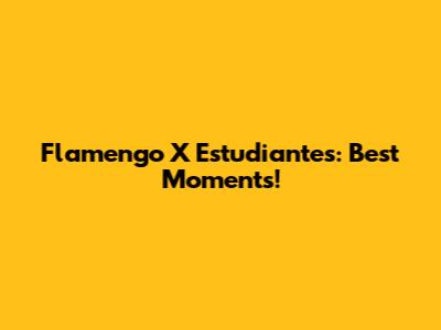 Flamengo X Estudiantes: Best Moments!