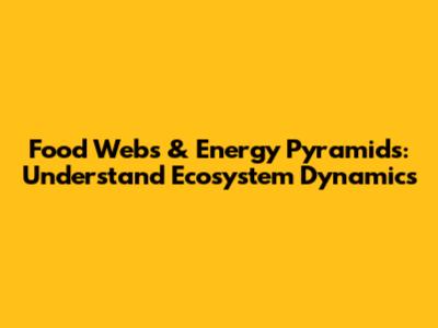 Food Webs & Energy Pyramids: Understand Ecosystem Dynamics