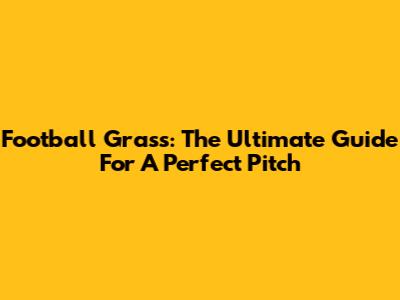 Football Grass: The Ultimate Guide For A Perfect Pitch