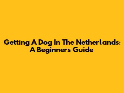 Getting A Dog In The Netherlands: A Beginner's Guide