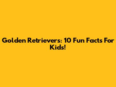 Golden Retrievers: 10 Fun Facts For Kids!