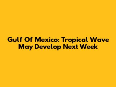 Gulf Of Mexico: Tropical Wave May Develop Next Week
