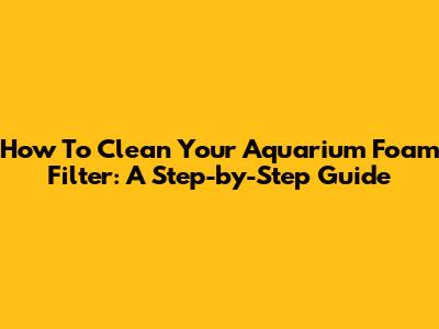 How To Clean Your Aquarium Foam Filter: A Step-by-Step Guide