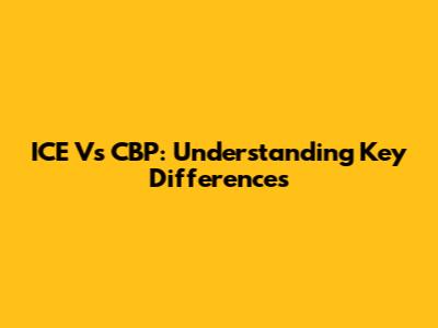 ICE Vs CBP: Understanding Key Differences