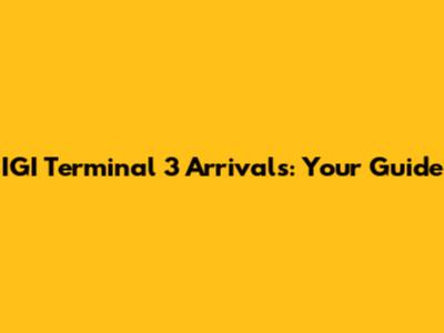 IGI Terminal 3 Arrivals: Your Guide