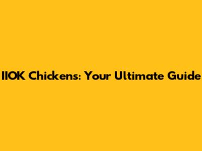 IIOK Chickens: Your Ultimate Guide
