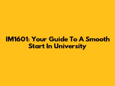 IM1601: Your Guide To A Smooth Start In University