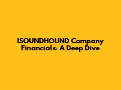 ISOUNDHOUND Company Financials: A Deep Dive
